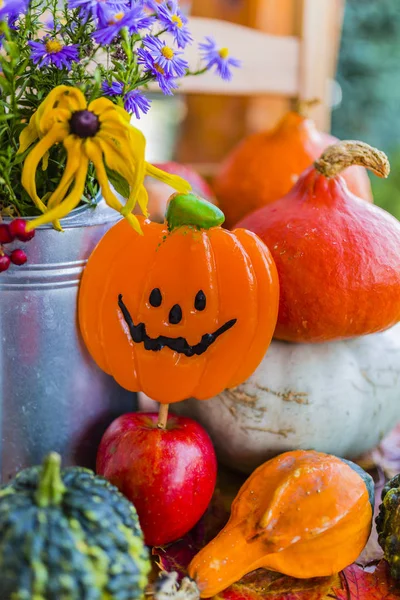 Pompoenen en herfst decoratie op het houten terras. Halloween decoratie. — Stockfoto