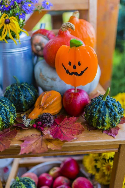 Pompoenen en herfst decoratie op het houten terras. Halloween decoratie. — Stockfoto