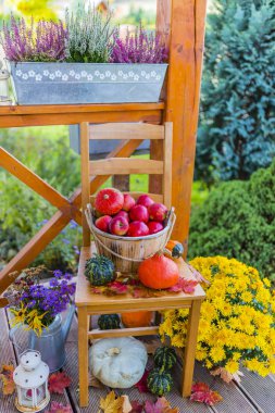 Kabaklar ve sonbahar dekorasyonları ahşap Teras. 