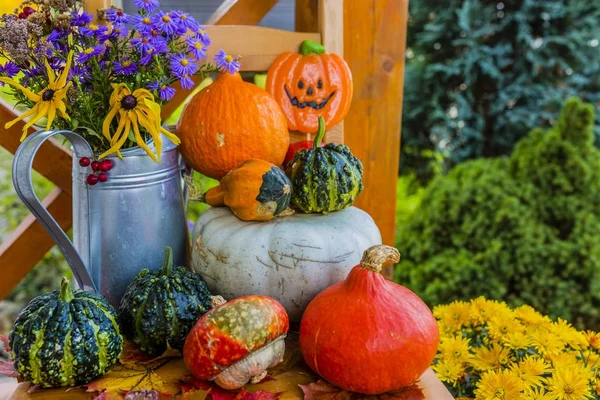 Pompoenen en herfst decoratie op het houten terras. — Stockfoto