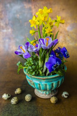 Paskalya dekorasyon - ilk bahar çiçekleri ve bıldırcın yumurtası 