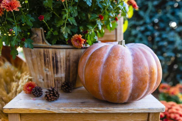 Kleurrijke Pompoenen Het Terras Decoraties Halloween — Stockfoto