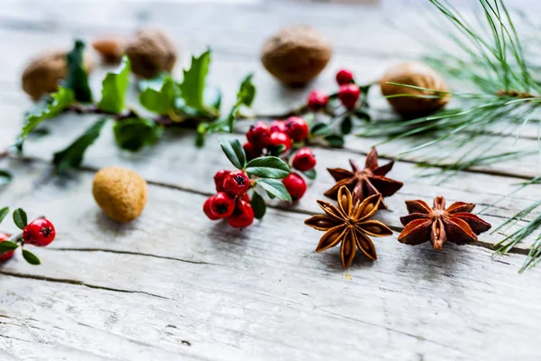 クリスマスのスパイスとクリスマスの装飾 — ストック写真