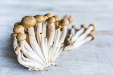 Tahta arka planda taze kahverengi Shimeji mantarları..