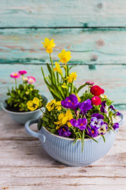 Bahar çiçekleri ile dekorasyon. Mutlu Paskalya.