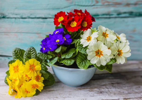 Díszítése Tavaszi Virágok Kellemes Húsvéti Ünnepeket — Stock Fotó