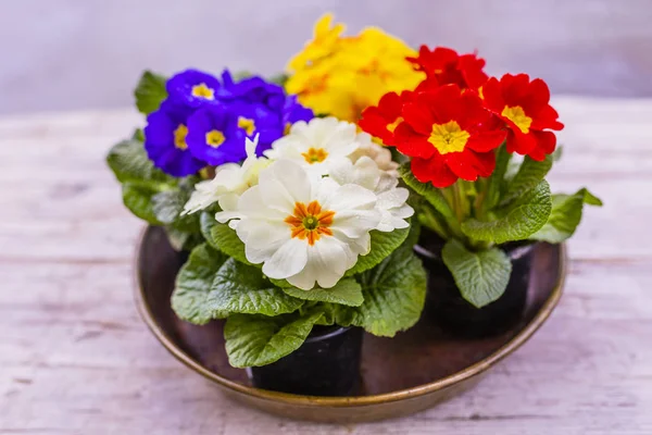 Díszítése Tavaszi Virágok Kellemes Húsvéti Ünnepeket — Stock Fotó