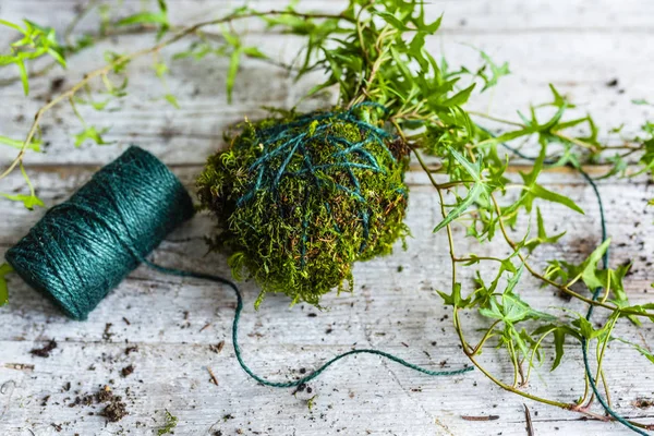 Yosun ve sarmaşıklı Japon kokedama.