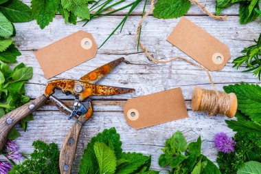 Ahşap bir arka planda taze ve aromatik otlarla çerçevelenmiş..
