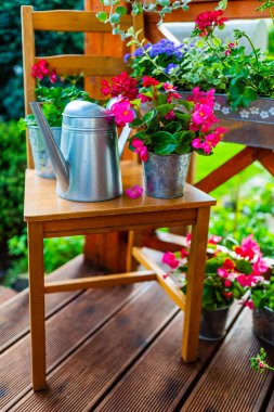 Terastaki saksılarda begonyalar ve çiçek süslemeleri..