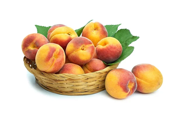 Single Peach Leaf Isolated White Background — Stock Photo, Image