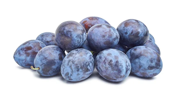 Composición Con Ciruelas Azules Aisladas Sobre Fondo Blanco —  Fotos de Stock