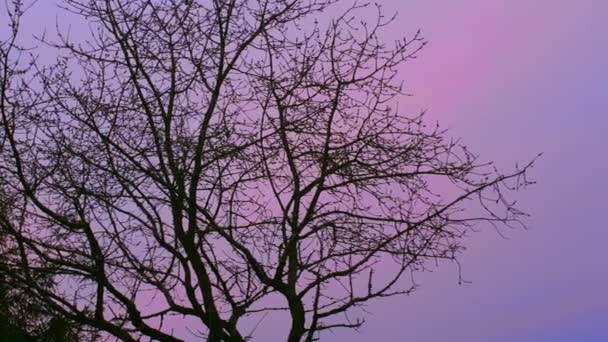 Ciel coloré après le coucher du soleil dans le village. Ciel naturel Contexte . — Video