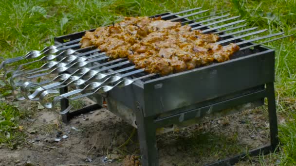 Grilling av marinert shashlik på grill. Shashlik er en form for shish kebab som er populær i Øst-Europa, Sentral-Europa og andre steder. Shashlyk som betyr skjevt kjøtt var opprinnelig laget av lam. – stockvideo