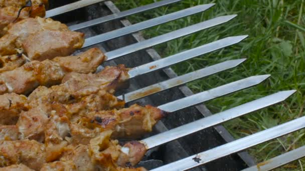 Grilling marinated shashlik on a grill. Shashlik is a form of Shish kebab popular in Eastern, Central Europe and other places. Shashlyk meaning skewered meat was originally made of lamb. — Stock Video