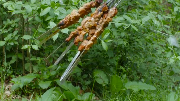 Gemarineerde sjasliek grillen. Sjasliek is een vorm van Shish kebab populair in Oost-, Midden-Europa en andere plaatsen. Shashlyk, wat betekent dat stokje vlees was oorspronkelijk gemaakt van lam. — Stockvideo