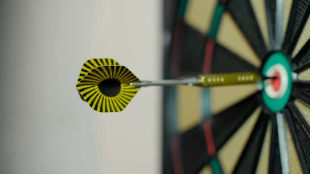 Een dart pijl stok in het midden van dart bord schot in roos — Stockvideo