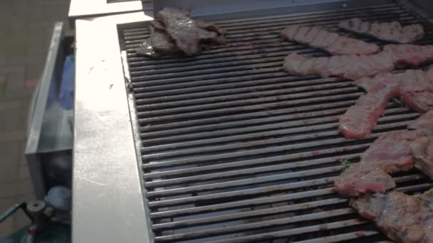 Fresh meat on grill outdoors — Stock Video