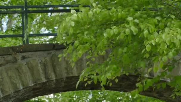 Den gamla steniga bron av fjällbäck i lämnar skogen — Stockvideo