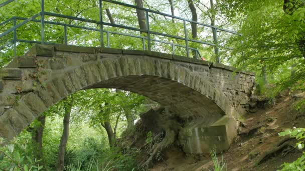 El viejo puente pedregoso del arroyo montañoso en el bosque de hojas — Vídeo de stock