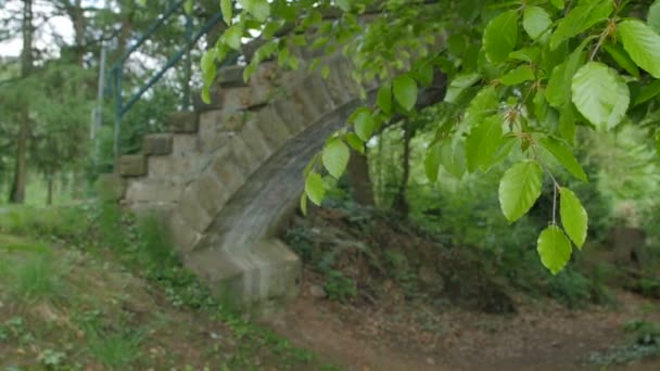 El viejo puente pedregoso del arroyo montañoso en el bosque de hojas — Vídeo de stock