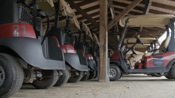 Carrelli da golf parcheggiati nel luogo coperto in legno — Video Stock