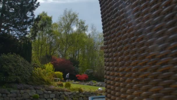 Árvores num jardim. Beatiful Ldieandscape — Vídeo de Stock