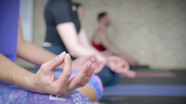 一群年轻人在瑜伽教室里冥想 — 图库视频影像