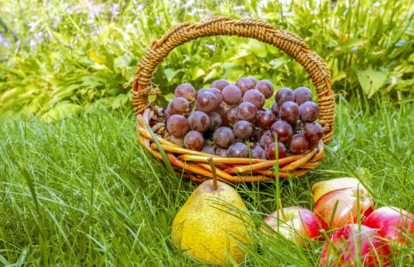 sonbahar meyve ürün çeşitliliği