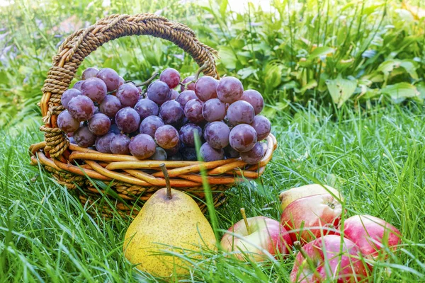 sonbahar meyve ürün çeşitliliği