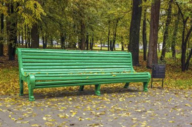 Bir tezgah parkta sonbahar ve çevresinde sarı yapraklar.