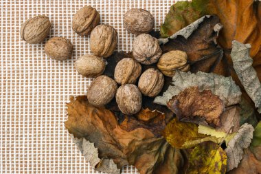 Ceviz renkli sonbahar leaves.walnuts üzerinde