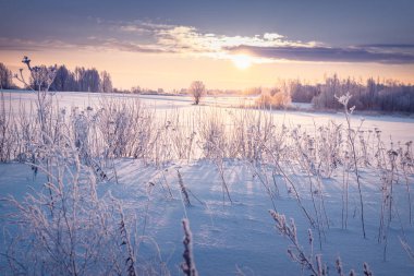Güzel kış manzarası ile karla kaplı alanda yükselen güneş