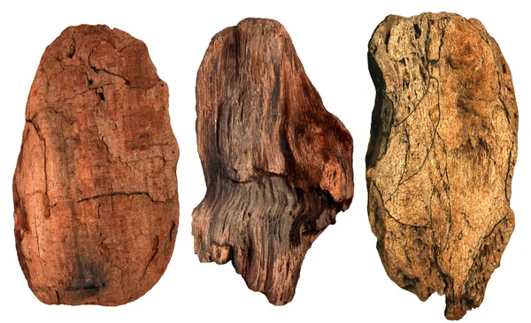 yaşlı bir ağaç, arka planını ayarlamak