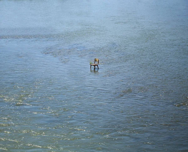 Sandalye su üzerinde duruyor — Stok fotoğraf