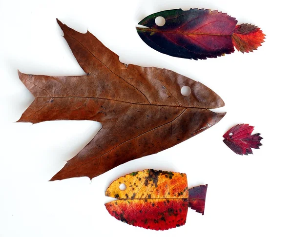 Autumn leaves in the form of fish — Stock Photo, Image