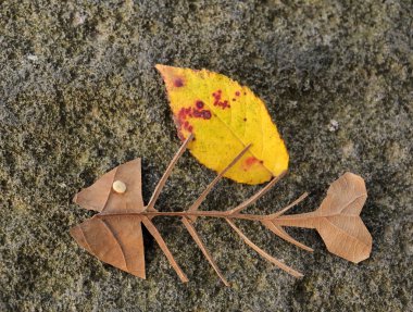 balık şeklinde sonbahar yaprakları