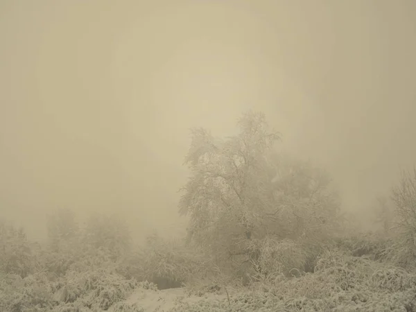 Fond d'hiver neige noël — Photo