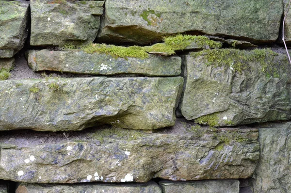 Moss cubierto de rocas —  Fotos de Stock