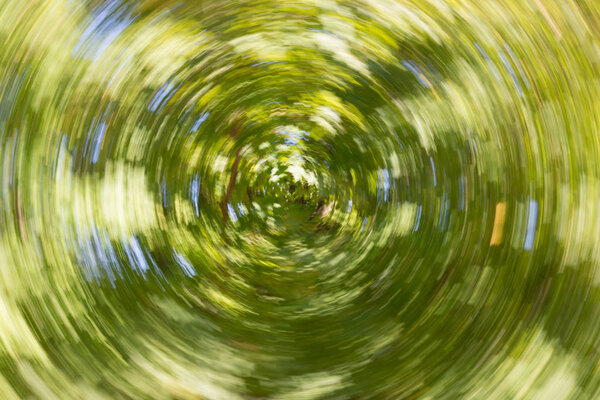 Аннотация дерева с помощью зума и твиста. Зеленый с завихрением
.