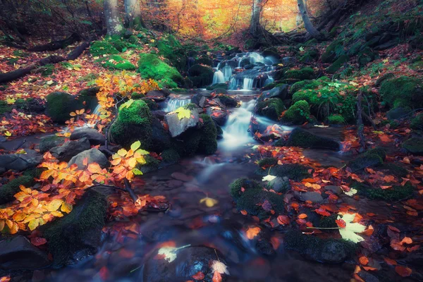 Petit ruisseau aux couleurs automnales forêt — Photo