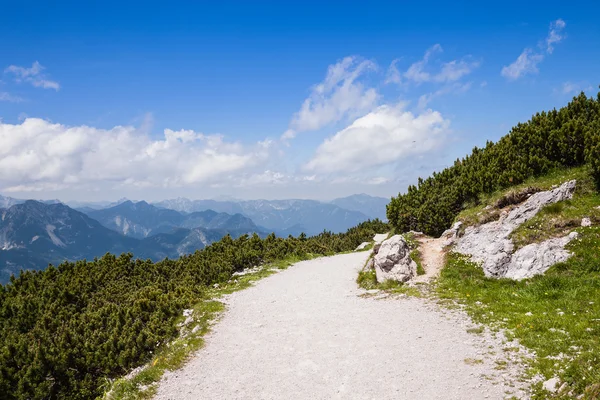 Альпійська гора шлях — стокове фото