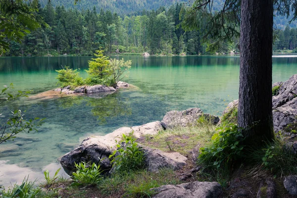 Lago di montagna alpino — Foto Stock