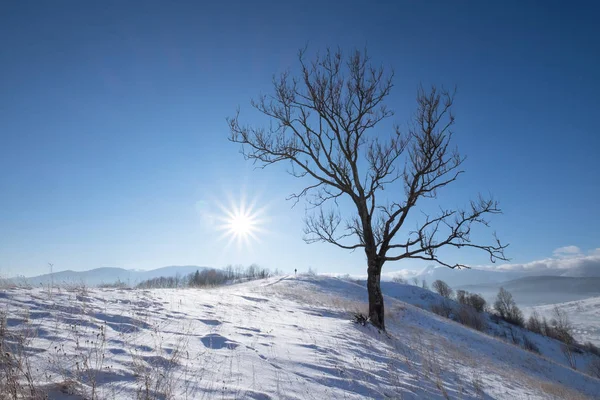 Winter mountain hills — Stock Photo, Image