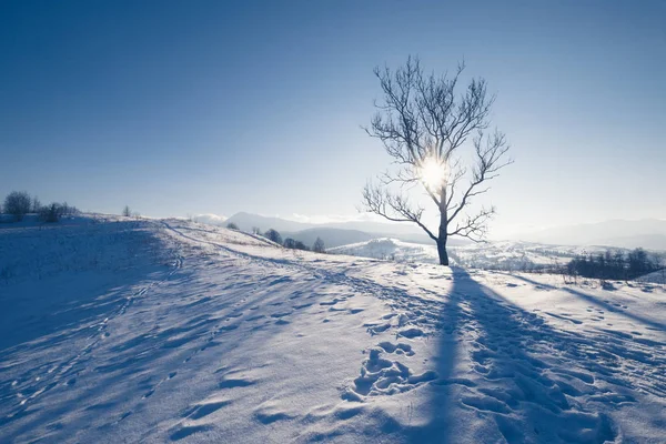 冬山丘陵 — 图库照片