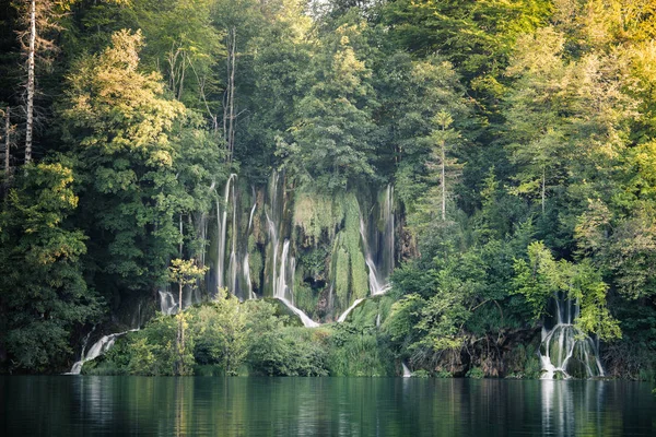 美しい緑の森の滝 — ストック写真