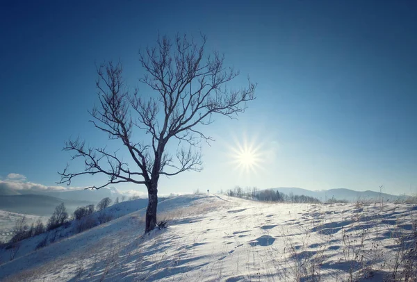 Colline montane invernali — Foto Stock