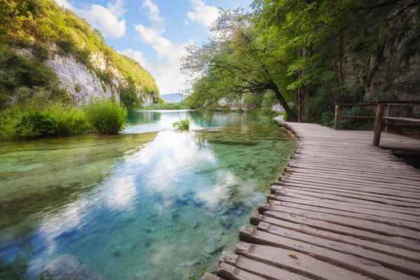 Fából készült kerti ösvény, egész napos zöld park-tó — Stock Fotó
