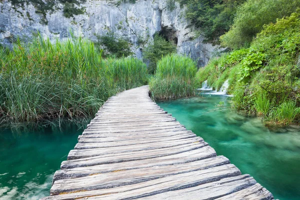 Camino de madera a través del lago en el soleado parque verde —  Fotos de Stock