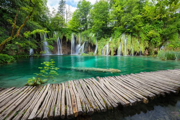 Bela cachoeira no verão floresta verde — Fotografia de Stock